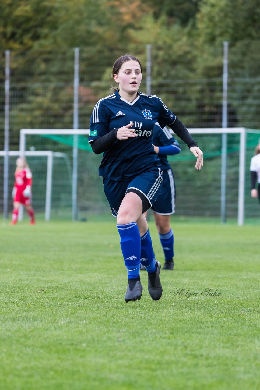 Bild 104 - B-Juniorinnen SV Henstedt Ulzburg - Hamburger SV : Ergebnis: 2:3